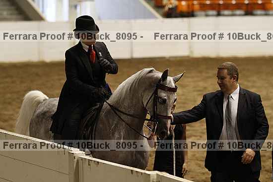 Proof Number 10buck_8095