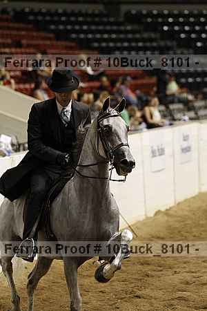 Proof Number 10buck_8101