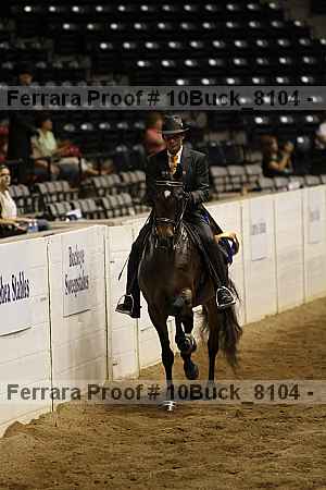 Proof Number 10buck_8104