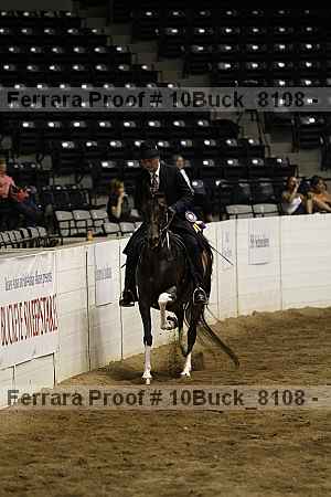 Proof Number 10buck_8108