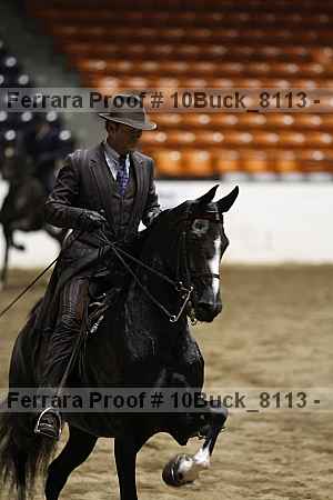 Proof Number 10buck_8113