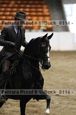 Proof Number 10buck_8114