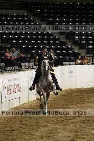 Proof Number 10buck_8120