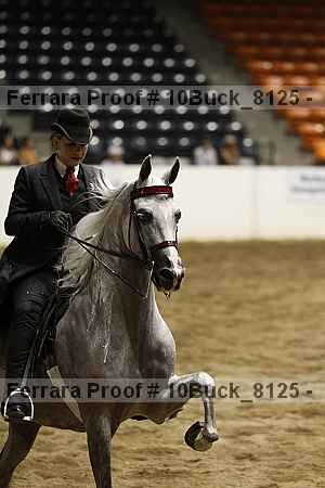 Proof Number 10buck_8125