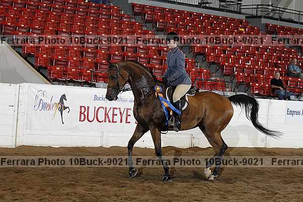 Proof Number 10buck-9021