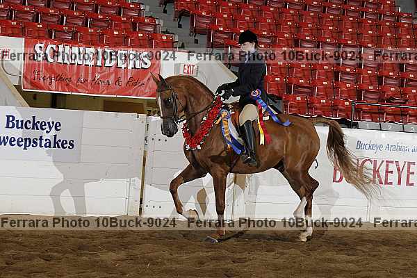 Proof Number 10buck-9024