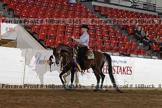 Proof Number 10buck_8145