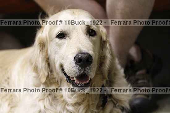 Proof Number 10buck_1922