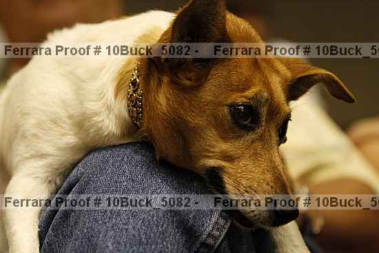 Proof Number 10buck_5082