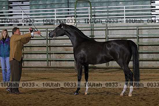 Proof Number 10utah_0033