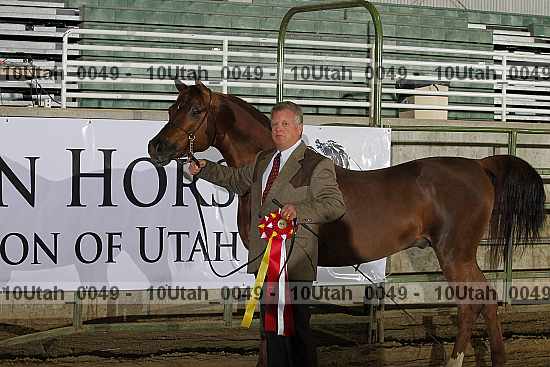 Proof Number 10utah_0049