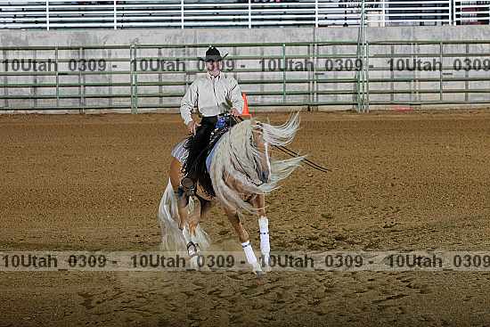 Proof Number 10utah_0309