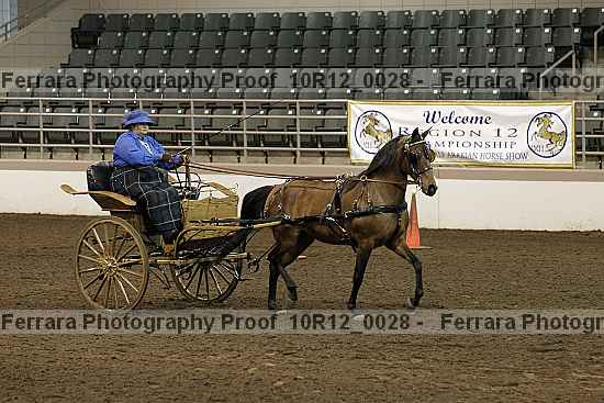 Proof Number 10r12_0028