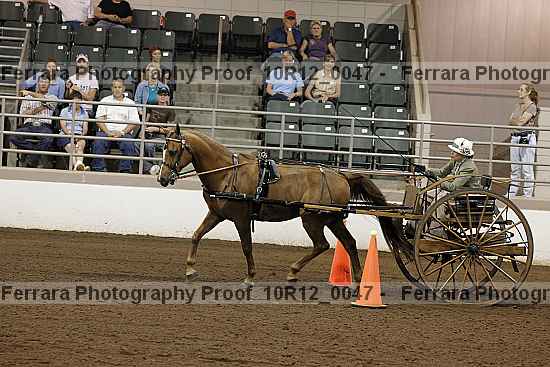 Proof Number 10r12_0047