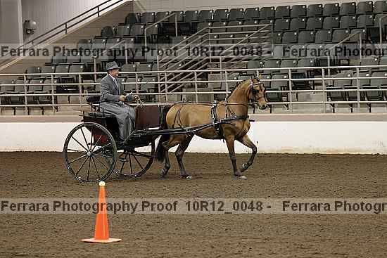 Proof Number 10r12_0048