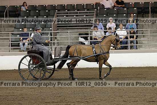 Proof Number 10r12_0050