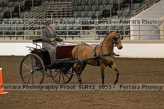 Proof Number 10r12_0053
