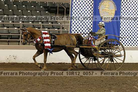 Proof Number 10r12_0057