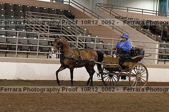 Proof Number 10r12_0062