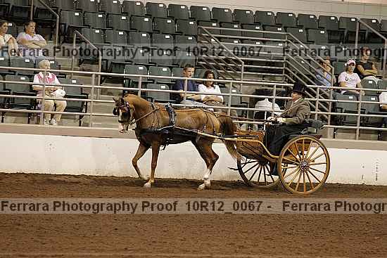 Proof Number 10r12_0067
