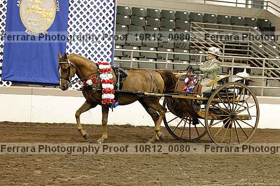 Proof Number 10r12_0080