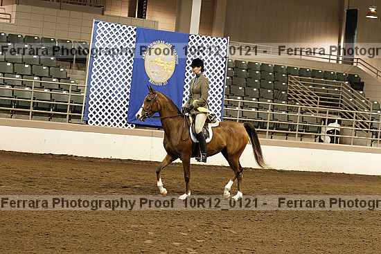Proof Number 10r12_0121