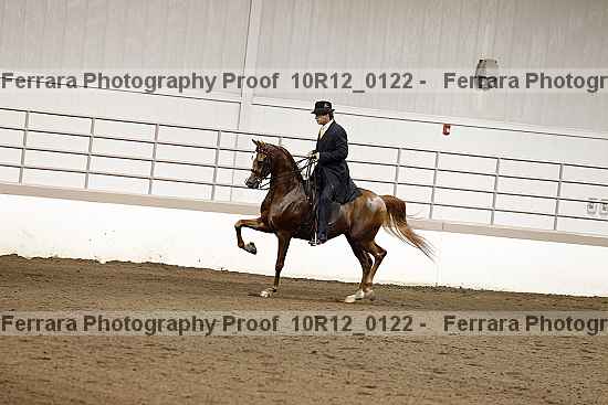 Proof Number 10r12_0122