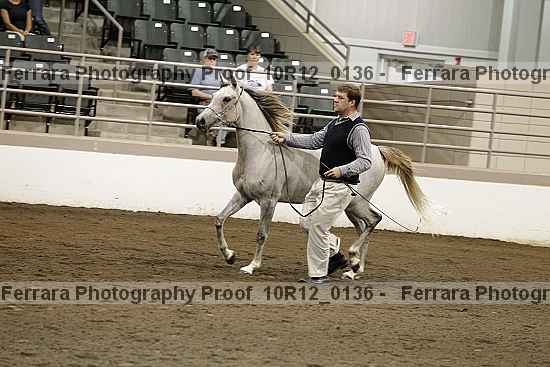 Proof Number 10r12_0136