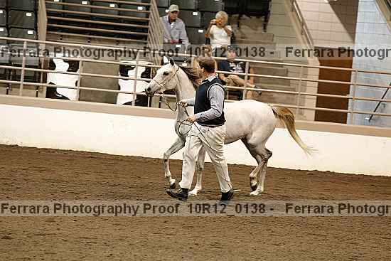 Proof Number 10r12_0138