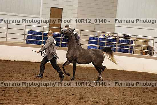 Proof Number 10r12_0140
