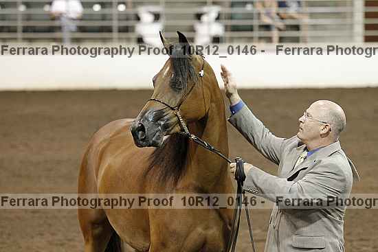 Proof Number 10r12_0146