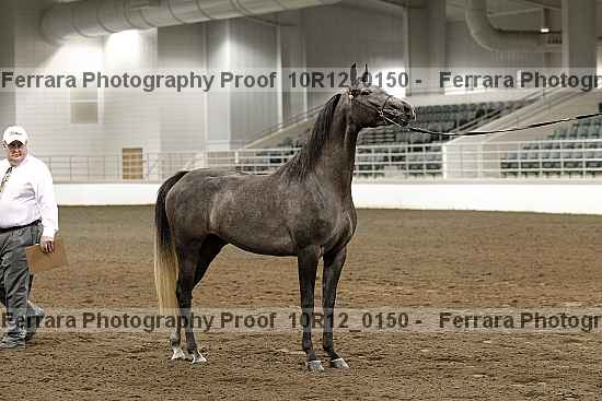 Proof Number 10r12_0150