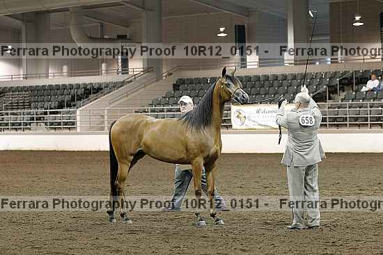 Proof Number 10r12_0151