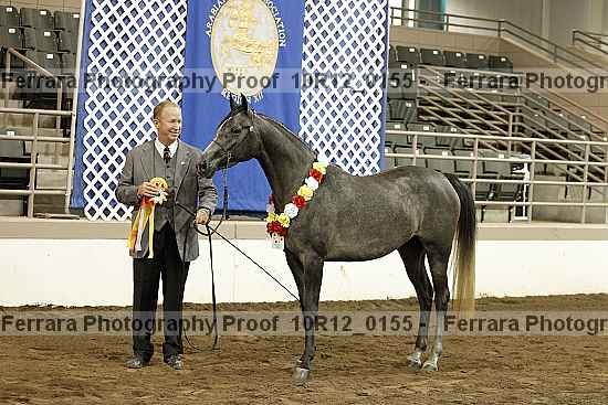 Proof Number 10r12_0155