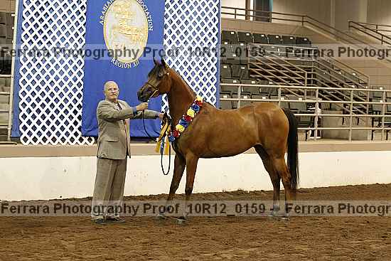 Proof Number 10r12_0159