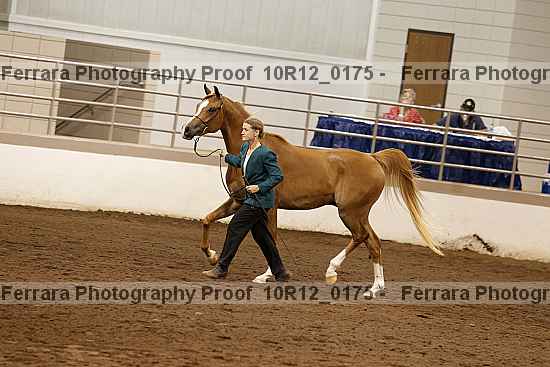 Proof Number 10r12_0175