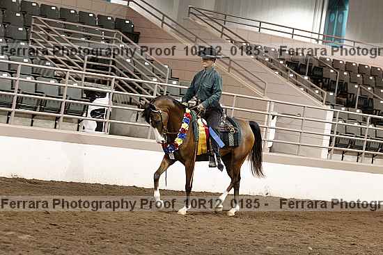 Proof Number 10r12_0185