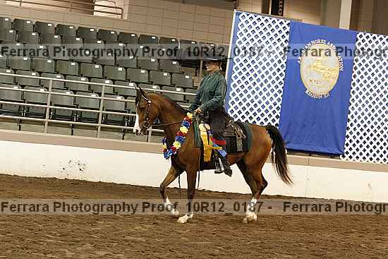Proof Number 10r12_0187
