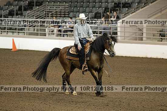 Proof Number 10r12_0188