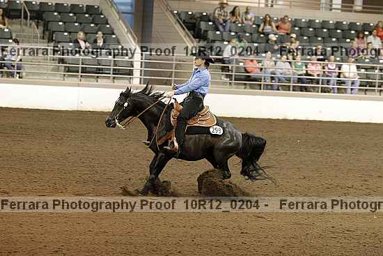 Proof Number 10r12_0204