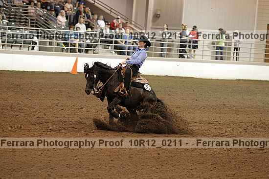 Proof Number 10r12_0211