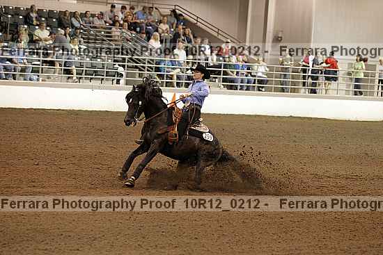 Proof Number 10r12_0212