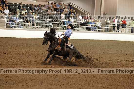 Proof Number 10r12_0213