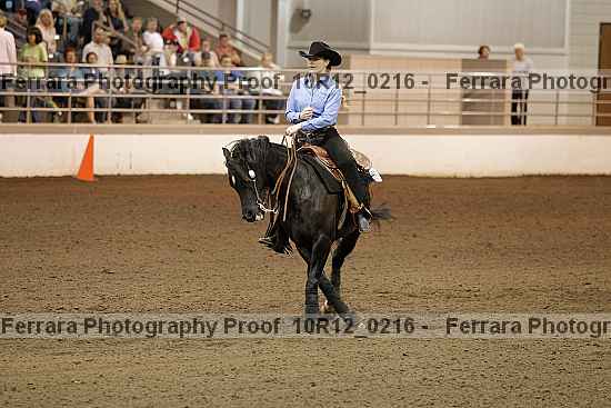 Proof Number 10r12_0216