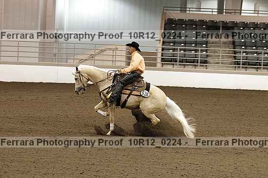 Proof Number 10r12_0224