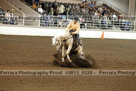 Proof Number 10r12_0228