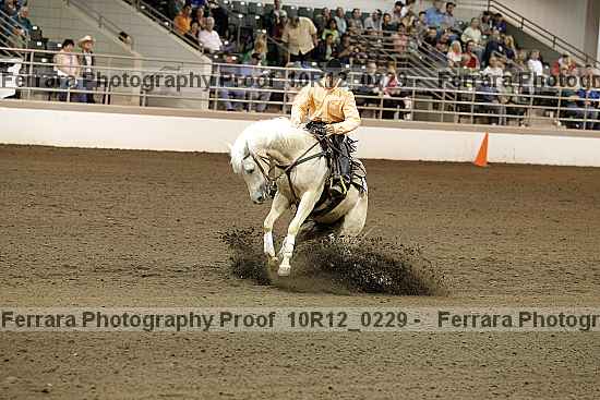 Proof Number 10r12_0229