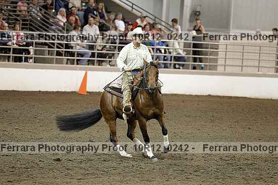 Proof Number 10r12_0242
