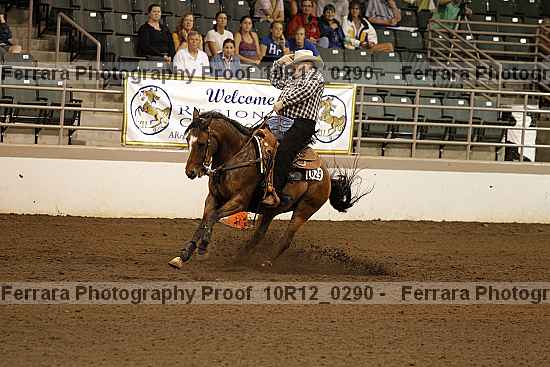 Proof Number 10r12_0290