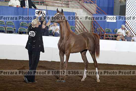 Proof Number 10r12_8366